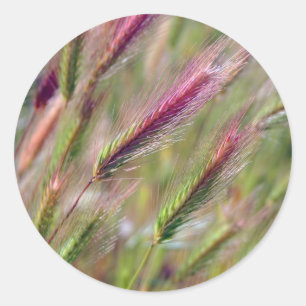 Graceful Foxtails Runder Aufkleber