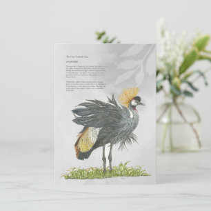 Graceful gefährdete Graukrane Karte