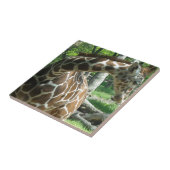 Graceful Giraffe Fliese (Seite)