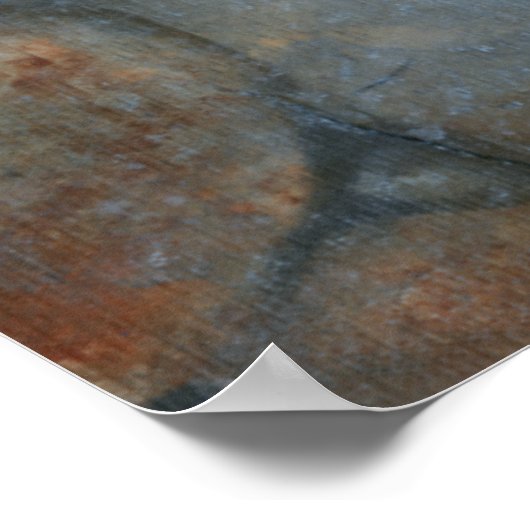 Graceful Koi II Poster (Ecke)