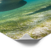 Graceful Manate Poster (Ecke)