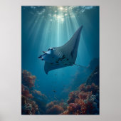 Graceful Manta Ray in Sunlit Ocean Poster (Vorne)