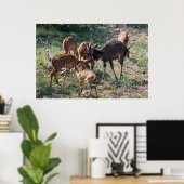 Graceful Nyala Antelope in Africa Poster (Heimbüro)