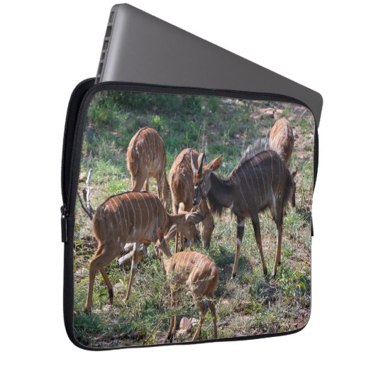Graceful Nyala Antelope in Afrika Laptopschutzhülle (Vorne Rechts)