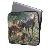 Graceful Nyala Antelope in Afrika Laptopschutzhülle (Vorderseite Links)