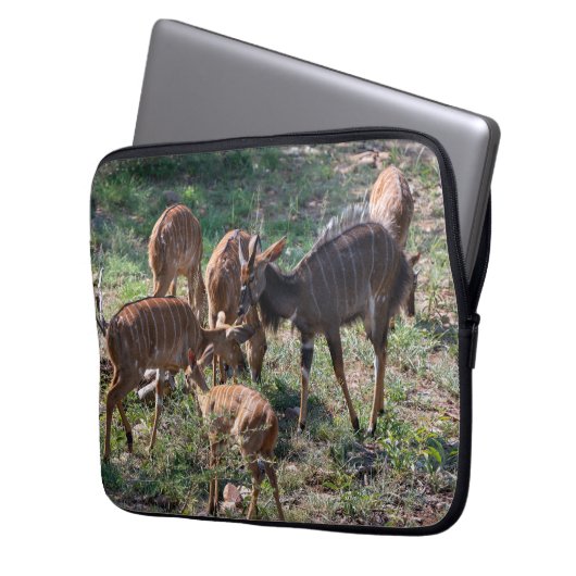 Graceful Nyala Antelope in Afrika Laptopschutzhülle (Vorderseite Links)