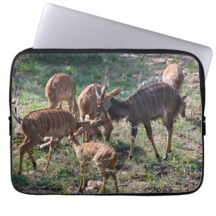 Graceful Nyala Antelope in Afrika Laptopschutzhülle