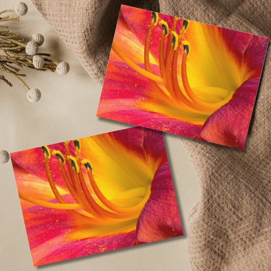 Graceful Red Taglilie Postcard Postkarte