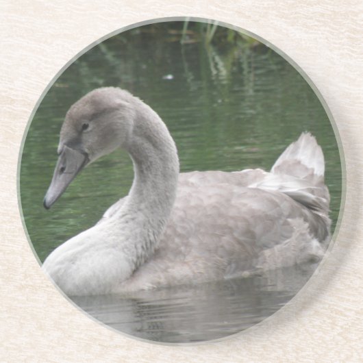 Graceful Schwan auf den Untersetzer (Vorne)