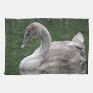 Graceful Schwan auf Wasser Küchentücher
