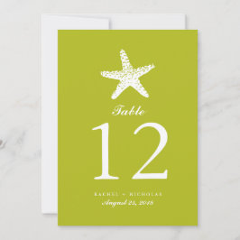 Graceful Starfish | TISCHNUMMER