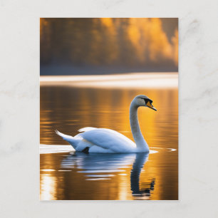 Graceful Swan am See Postkarte