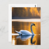 Graceful Swan am See Postkarte (Vorne/Hinten)