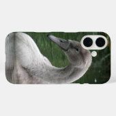 Graceful Swan auf dem Wasser iPhone Fall Case-Mate iPhone Hülle (Rückseite (Horizontal))