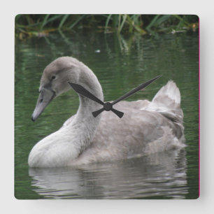 Graceful Swan on the Water Clock Quadratische Wanduhr