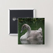 Graceful Swan on Water Button (Vorne & Hinten)