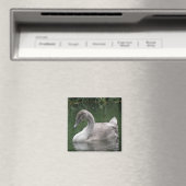 Graceful Swan on Water Magnet (In Situ (Geschirrspüler))