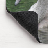 Graceful Swan on Water Mousepad (Ecke)