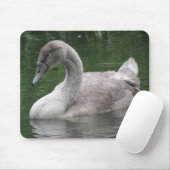 Graceful Swan on Water Mousepad (Mit Mouse)