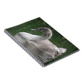 Graceful Swan on Water Notebook Notizblock (Rechte Seite)