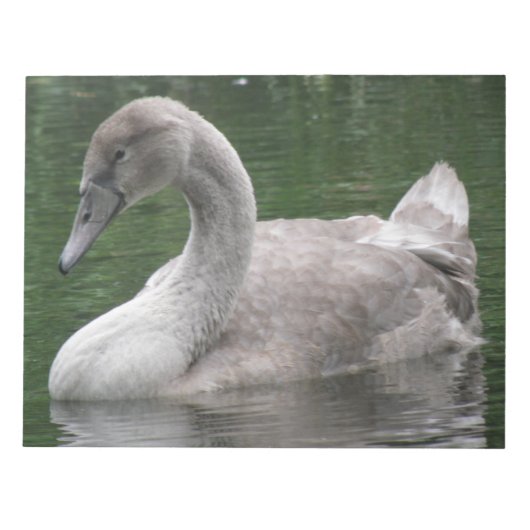 Graceful Swan on Water Notepad Notizblock (Vorderseite)