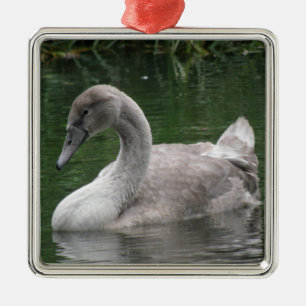 Graceful Swan on Water Ornament Aus Metall