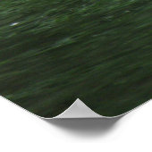 Graceful Swan on Water Poster (Ecke)