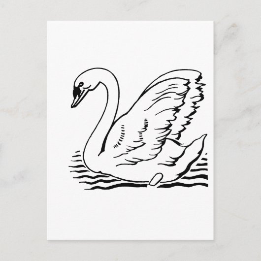 Graceful Swan Postkarte (Vorderseite)