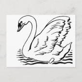 Graceful Swan Postkarte (Vorderseite)