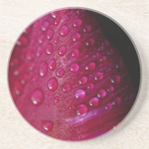 Graceful Tulip Untersetzer in Soft Petal Pink