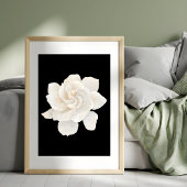 Graceful White Anemone Fotodruck