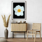Graceful White Anemone Fotodruck