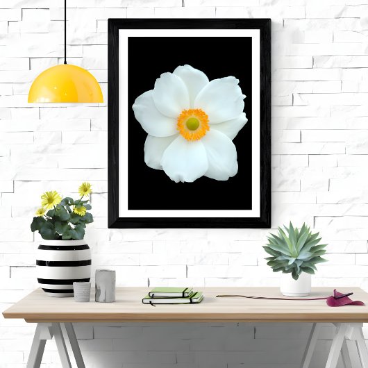 Graceful White Anemone Fotodruck