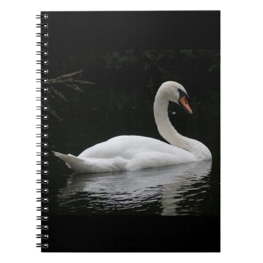 Graceful White Swan-Notebook Notizblock (Vorderseite)