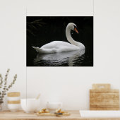Graceful White Swan Poster (Küche)
