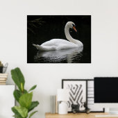 Graceful White Swan Poster (Heimbüro)