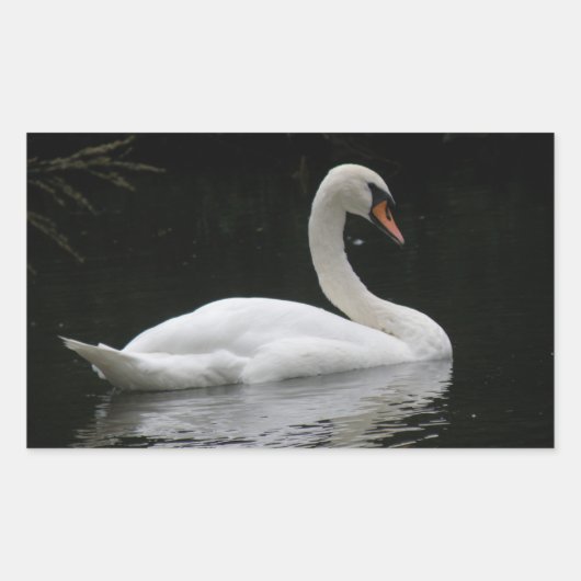 Graceful White Swan Stickers (Vorderseite)