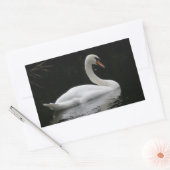 Graceful White Swan Stickers (Umschlag)