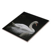 Graceful White Swan Tile Fliese (Seite)