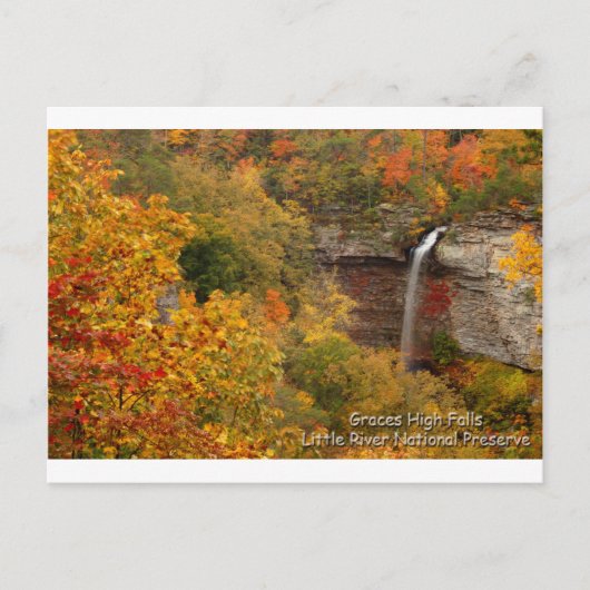 Graces High Falls Postkarte (Vorderseite)