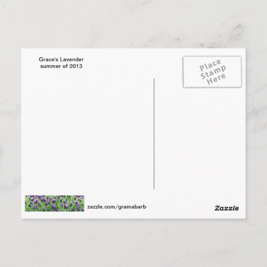 Grace's Lavendel Postcard Postkarte (Rückseite)