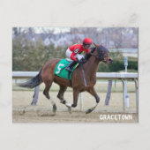 Gracetown Postkarte (Vorderseite)