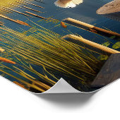 Gracful American White Pelican in Serene Wetlands Poster (Ecke)