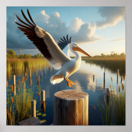 Gracful American White Pelican in Serene Wetlands Poster