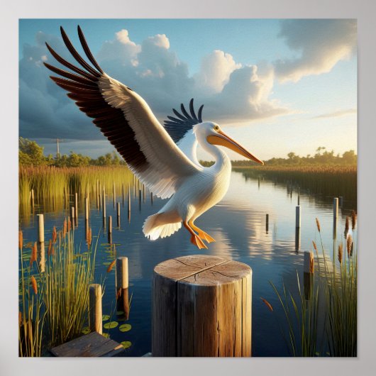 Gracful American White Pelican in Serene Wetlands Poster (Vorne)