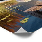 Gracful American White Pelican in Serene Wetlands Poster (Ecke)