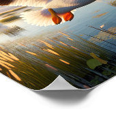 Gracful American White Pelican in Serene Wetlands Poster (Ecke)