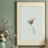 Gracful Bearded Reedling Wasserfarbe Kunst Poster