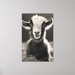 Gracful monochromatic expressive Baby Goat Portra Leinwanddruck