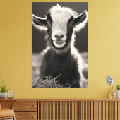 Gracful monochromatic expressive Baby Goat Portra Leinwanddruck (Insitu (Wohnzimmer))